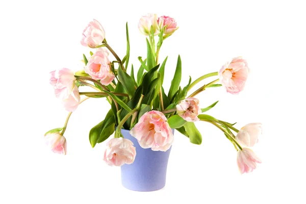 Bouquet pink double tulips — Stock Photo, Image