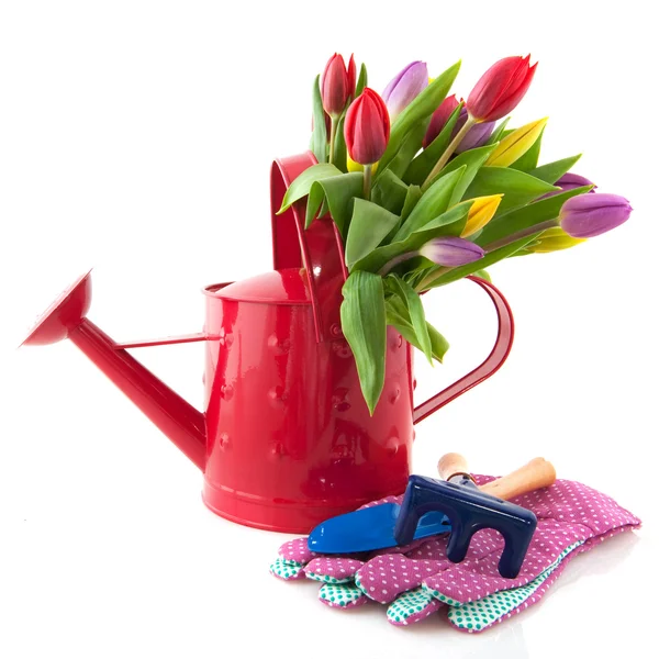 Decorative watering can with flowers — Stock Photo, Image