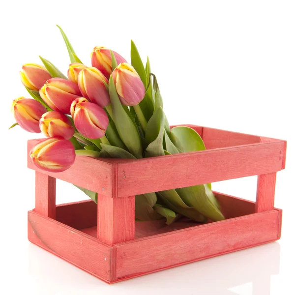 Dřevěné bedny s květinami — Stock fotografie