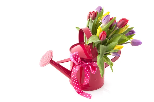 Coloridos tulipanes de ramo —  Fotos de Stock