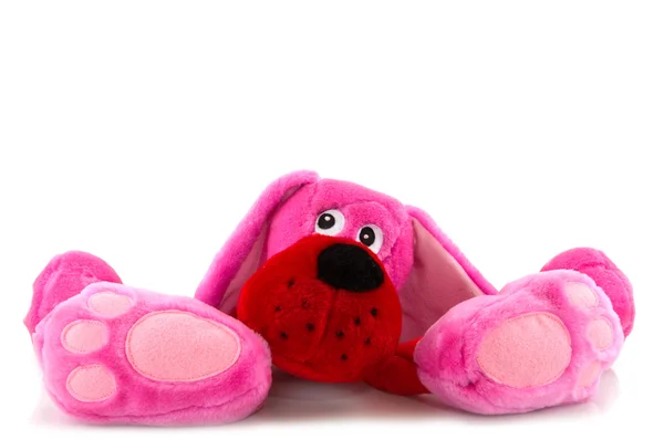 Pink dog — Stock Photo, Image