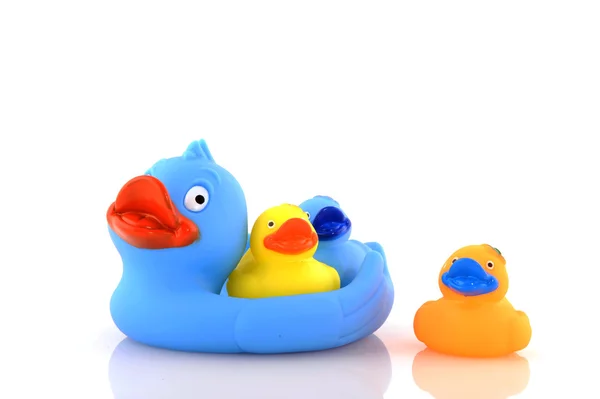 Mother duck — Stock Photo, Image