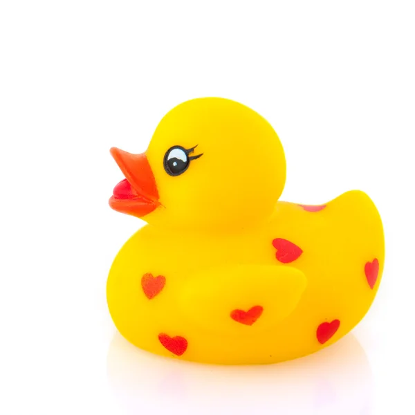 Love duck — Stock Photo, Image