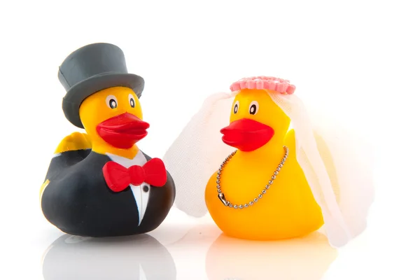 Duck ægteskab - Stock-foto