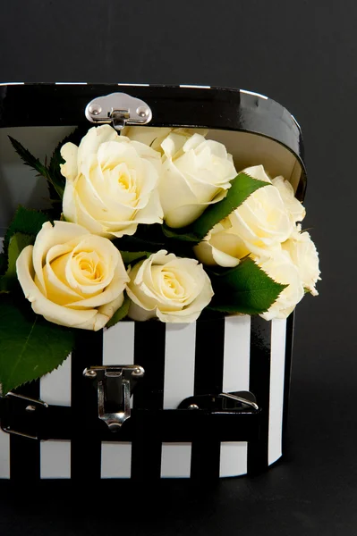 White roses on black — Stock Photo, Image