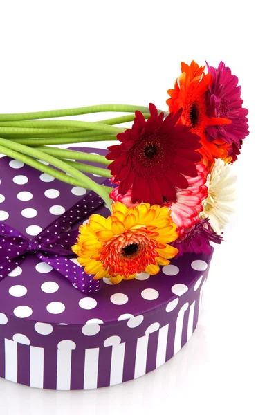 Paarse heden met bloemen — Stockfoto