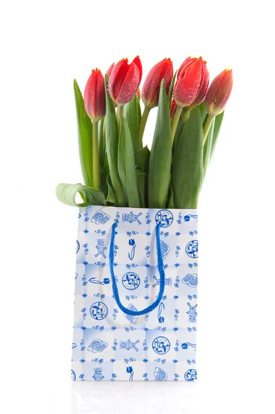 Tulipani olandesi — Foto Stock