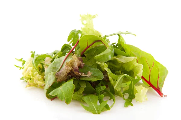 Rozmanitost Míchaný listový salát — Stock fotografie