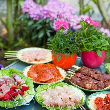 BBQ in the garden clipart