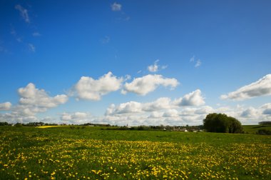 eifel Almanya'da manzara