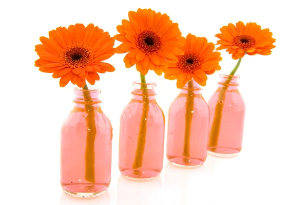 Colorful flowers in glass vases — Stock Photo, Image