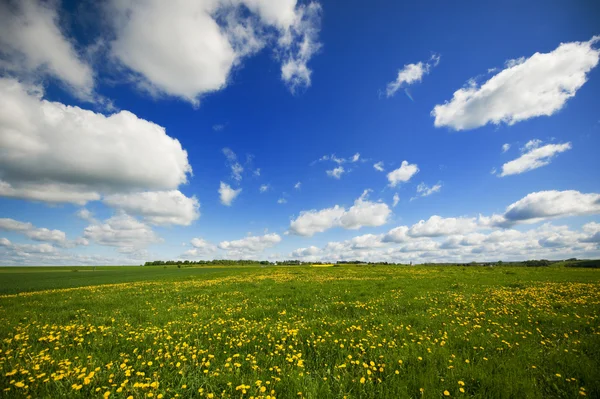 Pola trawy z chmury na niebie — Zdjęcie stockowe