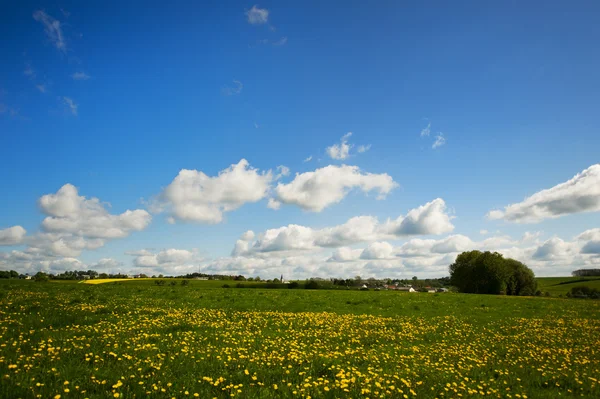 Stock image Landscape in the Eifel Germany