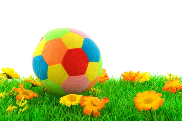 Gras met speelgoed bal en bloemen — Stockfoto