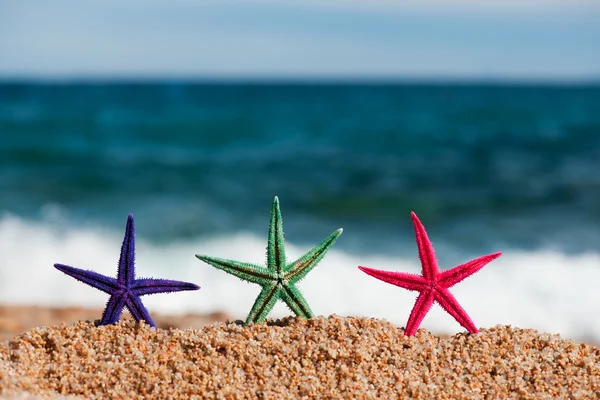 Colorful starfishes — Stock Photo, Image