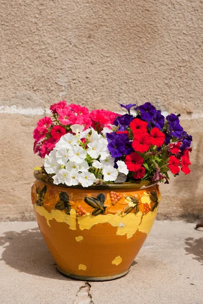 French flower pot — Stock Photo, Image