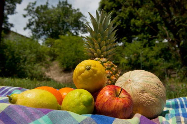 Čerstvé letní ovoce — Stock fotografie