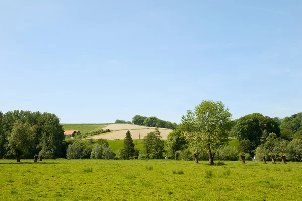 Landschap in Nederlands limburg — Stockfoto