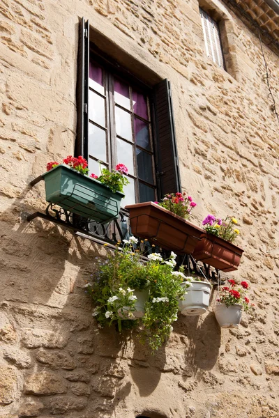 French window with flowers — Stock Photo, Image