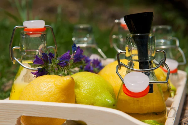 Limon limonata yapmak — Stok fotoğraf
