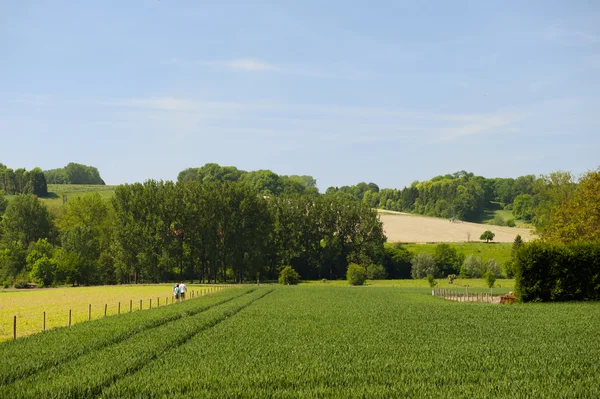 Landschap met heuvels en landbouw — Stockfoto