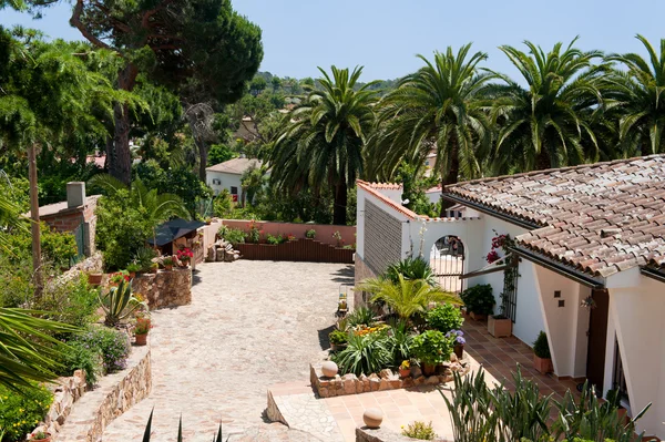 Spanisches Haus mit Palmen — Stockfoto