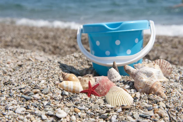 Playa con conchas —  Fotos de Stock