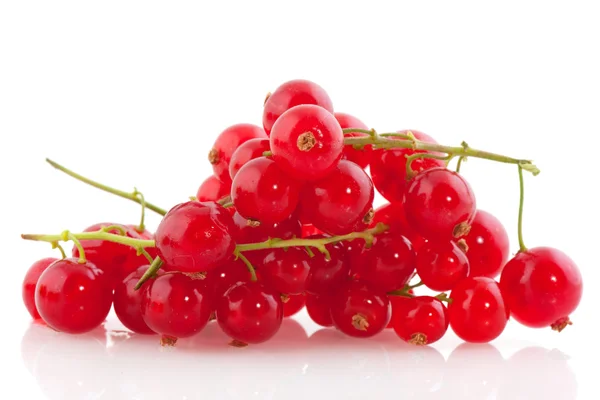 Coacăze roșii fructe de pădure — Fotografie, imagine de stoc