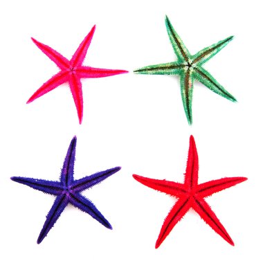 starfishes