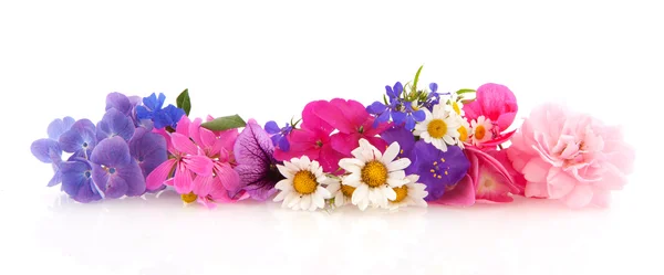 Guirnalda de flores —  Fotos de Stock