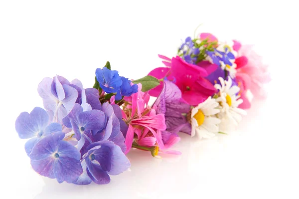 Girlanda kwiatów — Zdjęcie stockowe