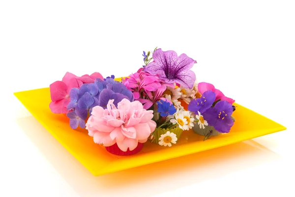Układania kwiatów — Zdjęcie stockowe