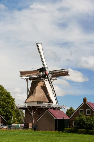 Niederländische Windmühle — Stockfoto