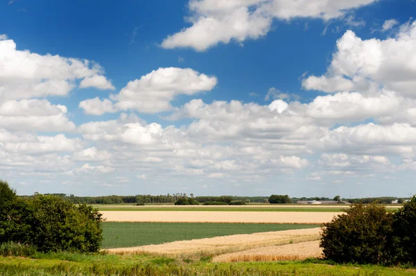 Landschaft in Holland — Stockfoto