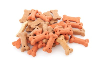 köpek kurabiyesi ile kase