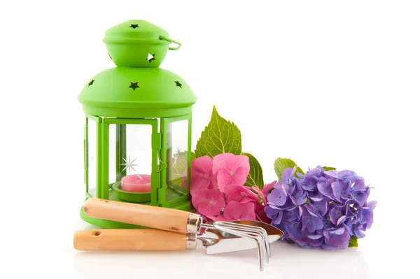 Hortensja i narzędzia ogrodnicze z zielona latarnia — Zdjęcie stockowe