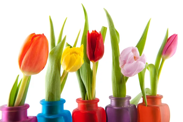 Kleurrijke tulpen in vazen — Stockfoto