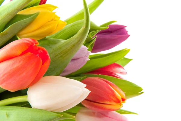 Coloridos tulipanes de ramo —  Fotos de Stock