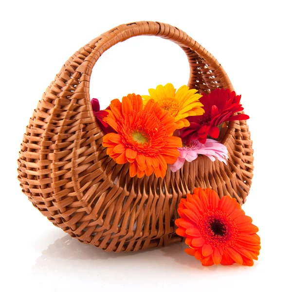Pequenas flores cesta wicket — Fotografia de Stock