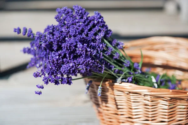 stock image Wicket cane basket with Lavender