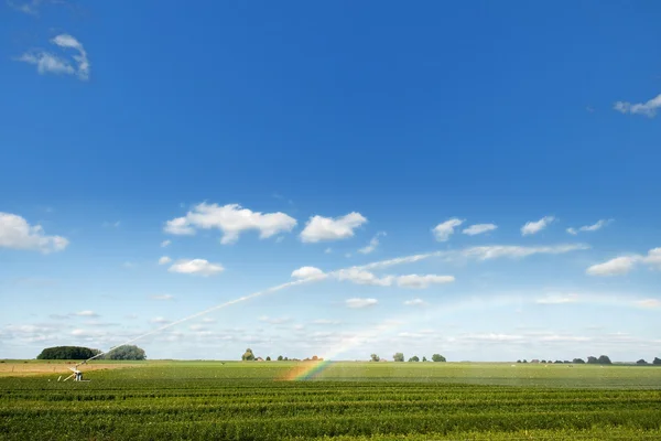 Bewässerung der landwirtschaftlichen Felder — Stockfoto