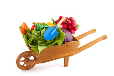 Wheelbarrow vegetables clipart