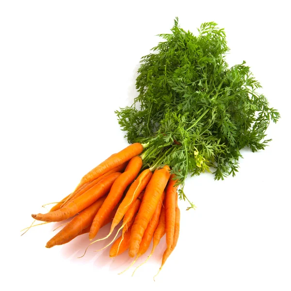 stock image Bunch carrots
