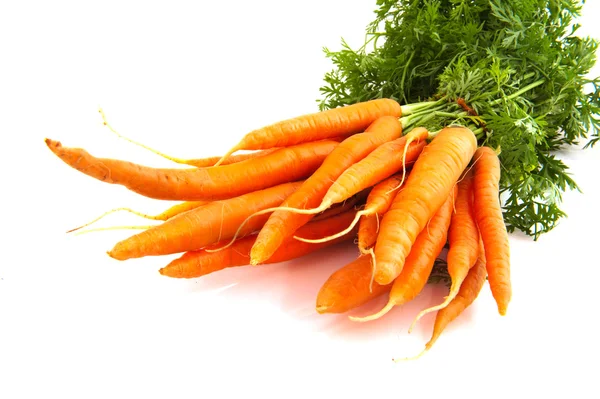 Pęczek marchewki — Zdjęcie stockowe