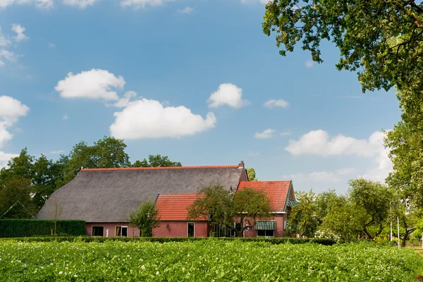 Casa de fazenda na paisagem com batatas — Fotografia de Stock