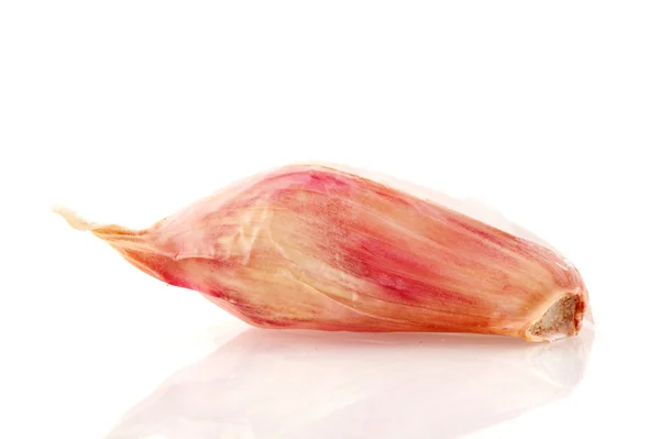 Hřebíček česneku — Stock fotografie