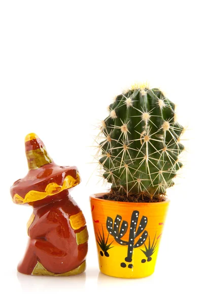 Cactus mexicanos —  Fotos de Stock