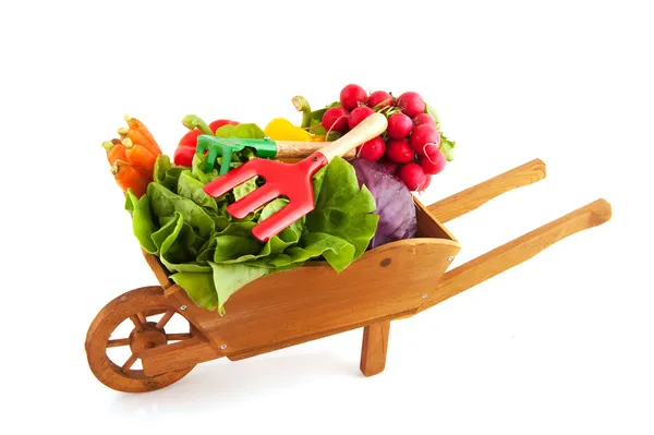 Wheelbarrow vegetables — Stock Photo, Image