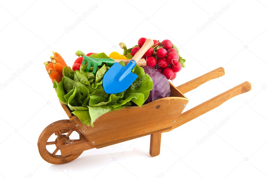 Wheelbarrow vegetables