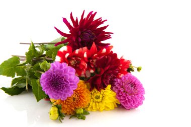 Bouquet Dahlias clipart